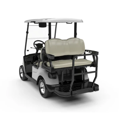 Hot Sale Electric Elevó Golf Cart AC Motor 4 Wheel Mini Hunting Troly de litio batería de coche de golf para el Club OEM (DG-M2+2)