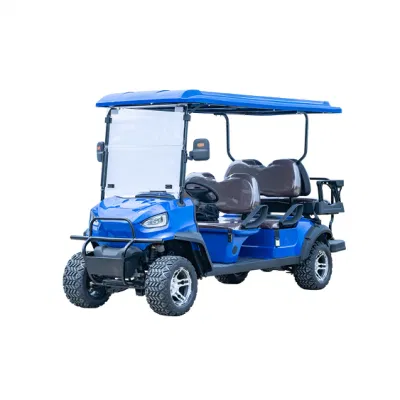 Soft seater 2 Row Modified Luxury Buggy Bus Electric Golf Carro