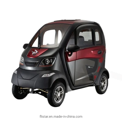 1200W 2 asientos FSC-Lt coche eléctrico para los pasajeros de transporte eléctrico y el scooter de movilidad eléctrica para ancianos