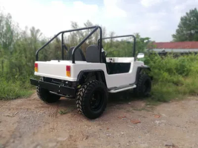 Diseño de flujo de potencia de la gasolina Mini Golf Buggy 200cc para adultos