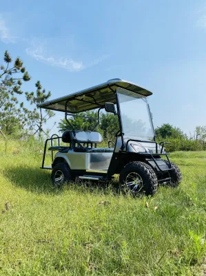 Club Car levantado 48V 72V 6 asientos Electric Golf Cart 4 plazas de la calle Legal