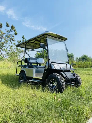 Club Car levantado 48V 72V 6 asientos Electric Golf Cart 4 plazas de la calle Legal