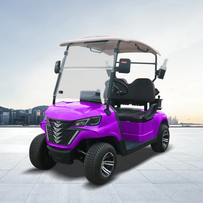 Fabricante China Mini Golf Car forjar G2 Carrito de golf eléctrico cochecito de golf