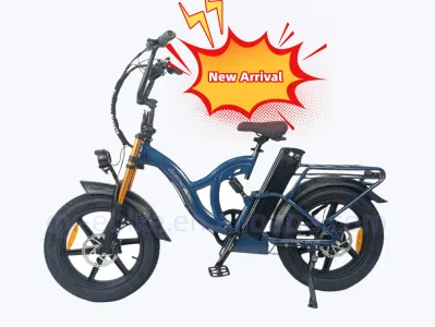 Jinhua E personalizado nuevo fabricante de bicicletas eléctricas de la batería del vehículo eléctrico bicicletas Fat