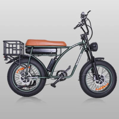 48V 2000W Motor delantero y trasero vehículo eléctrico de doble tracción Con cesta Retro fuera de carretera Fat Tire eléctrico asistir bicicleta con 18,2ah batería
