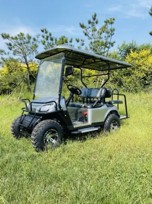 Club Car levantado 48V 72V 6 asientos Electric Golf Cart 4 plazas de la calle Legal