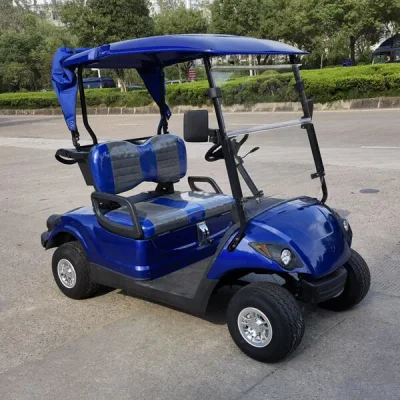Autobús turístico de 4 ruedas de la Ciudad personalizado coche eléctrico del carro de golf Con vehículo todoterreno todoterreno de 6 plazas