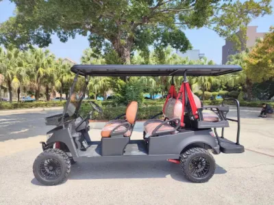 5kw asientos Golf Car 6 Motor de suspensión independiente disco de freno Dirección asistida neumáticos de 14 pulgadas Carro de Golf eléctrico