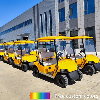 Nuevo vehículo eléctrico de batería avanzada de tipo occidental motorizado Precio de carrito de golf eléctrico