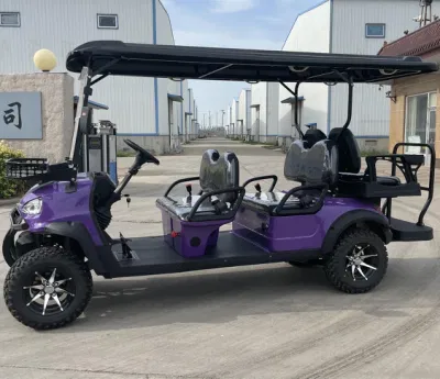 Moda moderna 2022 Diseño nuevo Wh2020K-2-B fábrica 2 asientos Recorrido turístico Bus Club Cart Golf eléctrico Buggy Caza Cart con