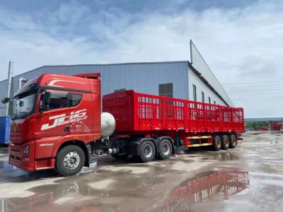 Anton′ S Trailers para camiones principales, vehículos de transporte