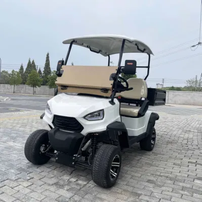 Mejor venta de kart eléctrico, primera Marca OEM Club Carro de Golf con caja Precio asequible