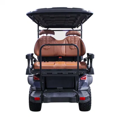 Nueva llegada 6 plazas elevado carrito de golf personalizado de alta calidad Best Street Legal Golf Cart