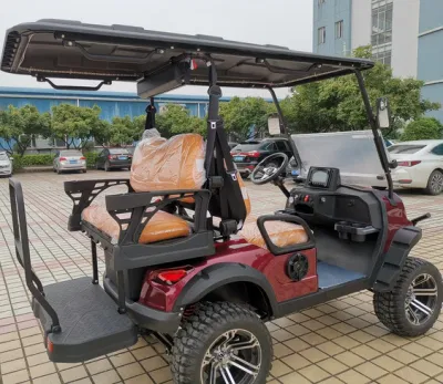 4 Personas Golf Big Wheel carritos de Golf Golf Cart batería eléctrica
