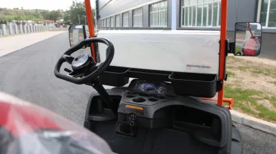 Carrito de Golf de nivel superior de fábrica Niza Precio 72V Eva Sistema de buen beneficio para los Distribuidores