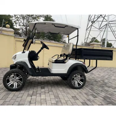 Mejor venta de kart eléctrico, primera Marca OEM Club Carro de Golf con caja Precio asequible