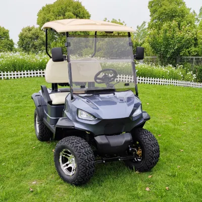 Mini Scooter eléctrico mayorista chino personalizado levantó los carritos de golf
