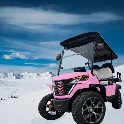 China Fabricación Eléctrica Mini Golf Cart Factory Ventas directas Caza Carro Cartgolf