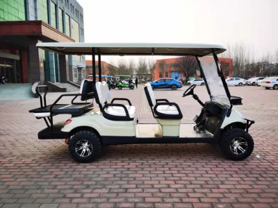 5000W Buggy/Golf Dachi Acero Marco 4330*1200*1900 Lithium Powered Golf Cart