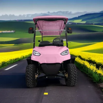 Nueva tendencia 6 asientos de alto rendimiento Ace H4+2 Electric Golf Carro