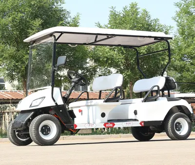 Champagne 4 + 2 asientos pasajeros de diferentes colores de Seguridad turística Coche Caza eléctrico Golf Cart/Buggy Precio con batería de plomo ácido y. Batería de litio