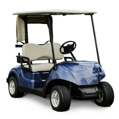 Fábrica directamente Calle Legal Club coche eléctrico Golf Cart Buggy Precios de venta