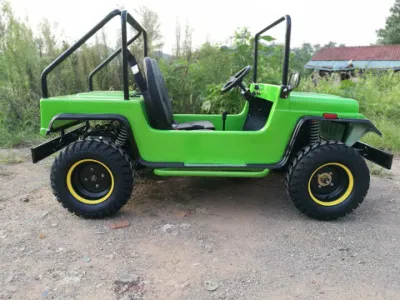 Diseño de flujo de potencia de la gasolina Mini Golf Buggy 200cc para adultos