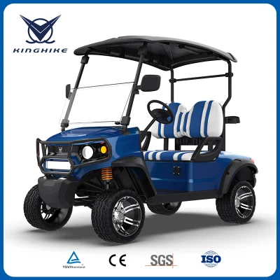 Del 30% puede ser Cutomized BUGGY ELÉCTRICO Legal de la calle Los coches de golf