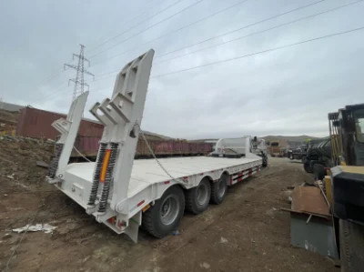Práctico Semi-Trailer de plataforma plana baja, Semi-Trailer de chasis bajo, Excavadora de 3 ejes/4 ejes/6 ejes/8 ejes/10 ejes, cargadora, vehículo de transporte de tanque