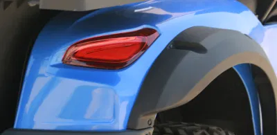 El bastidor de acero eléctrico curso Dachi 3680*1350*2100mm China Alquiler de carro de golf