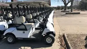 China hizo accionado por batería 2 4 6 plazas de carros de golf clásico con grandes espacios portaobjetos