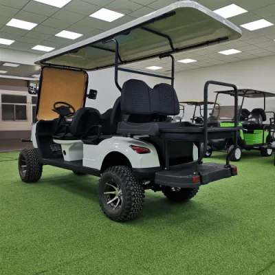 2023 60V 5000W 2 pasajeros UTV Golf Cart con grande Compartimentos de almacenamiento