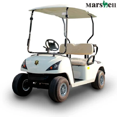 Mayorista Nuevo dos personas 42V/72V pequeño Mini 4 Carro de rueda Carro de Golf de coches eléctricos vehículo eléctrico con 2 asientos viento Precio bajo de venta de Shield (DG-C2-5)