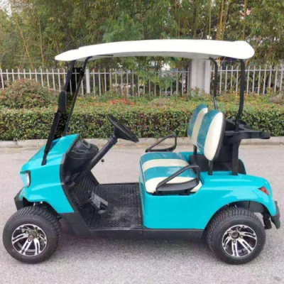 2 plazas 48V 60V 72V 4000W 5000W Star Electric Golf Cart
