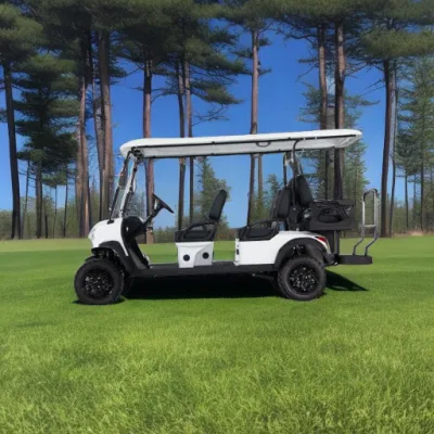 Los mejores Servicios 6 asientos Ace H4+2 Carro de Golf eléctrico