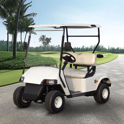 Color libre personalizado 2 personas Baja velocidad LSV 30km/H 19 Mph batería de litio eléctrico Golf Cart para la venta