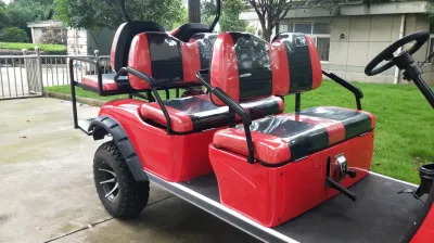 Carro de gasolina de color brillante 4 6 plazas que se utiliza el icono Gas carritos de Golf/ Eléctrica carro de golf