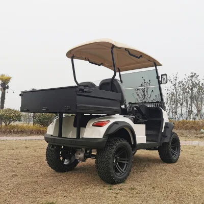 Carro de Golf de vehículos eléctricos de Zona de Lujo personalizado LSV de nuevo diseño Carro de Golf de conversión