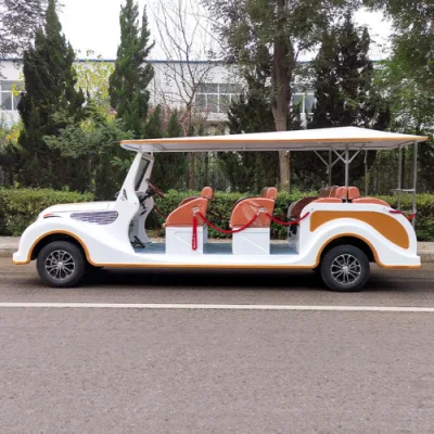 Los coches de golf adultos profesionales personalizados/eléctrico coche clásico