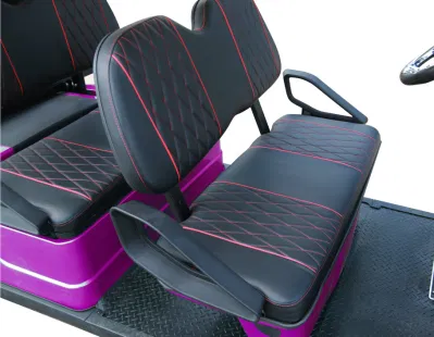 Curso eléctrico Dachi Rack plancha 3100*1200*1900 China carro de golf DC-G-B4