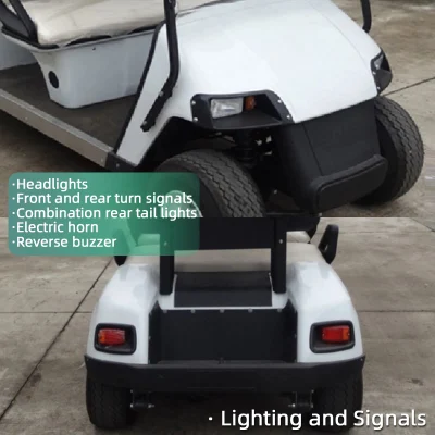 Color libre personalizado 2 personas Baja velocidad LSV 30km/H 19 Mph batería de litio eléctrico Golf Cart para la venta