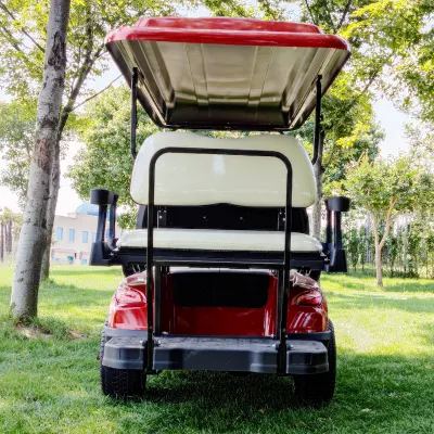 48V o 72V Lsv 6 persona carro de golf para adultos