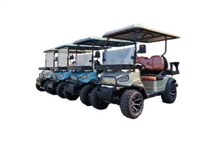 Nuevo producto Mini Golf Cart 48V 60V Custom Electric off Carros de golf para el concesionario