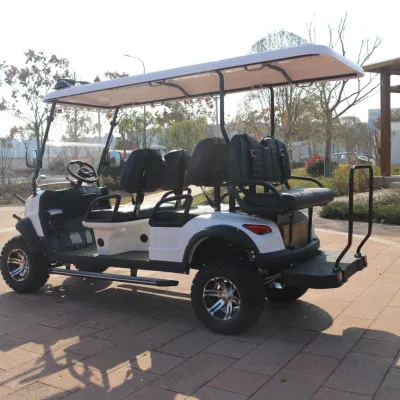 6 persona de lujo Buggy Hunter Sport Street Legal Electric Tourist Carrito de Golf