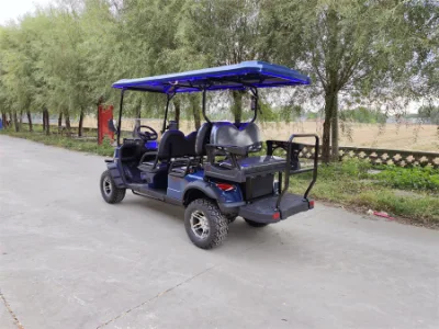 Complejo multifuncional 6 persona recorrido eléctrico Golf Cart