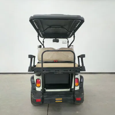 Modificado off-Road 4 plazas batería operado carrito de golf