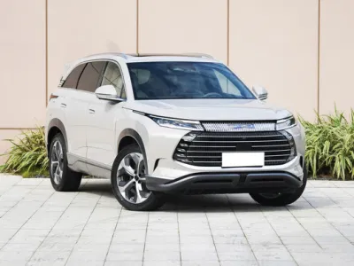 Popular Color Familia EV coche eléctrico para jóvenes utilizados Serie BYD Electric Car Frigate