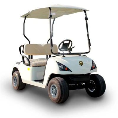 Mayorista Nuevo dos personas 42V/72V pequeño Mini 4 Carro de rueda Carro de Golf de coches eléctricos vehículo eléctrico con 2 asientos viento Precio bajo de venta de Shield (DG-C2-5)