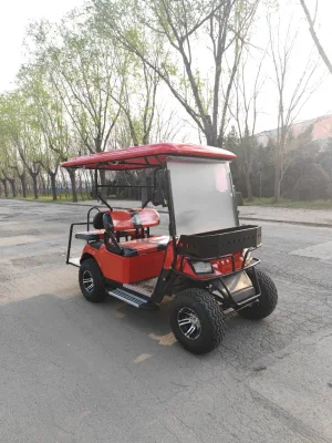 Carrito de gasolina 4 6 asientos usados icono de Gas Powered Golf Carritos/ Carro de Golf eléctrico