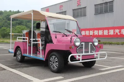 Rosa coche eléctrico Sightseeing Tour del vehículo alquiler de vehículo eléctrico